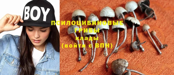 гашик Беломорск