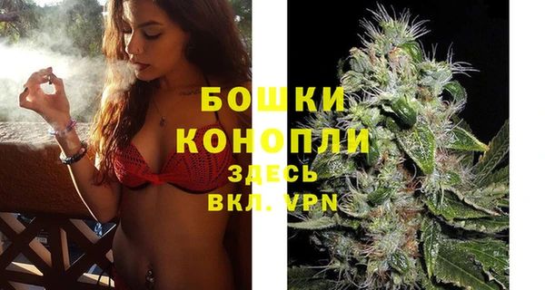 гашик Беломорск