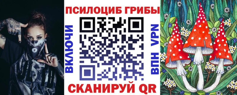 где продают наркотики Краснознаменск Галлюциногенные грибы Psilocybine cubensis